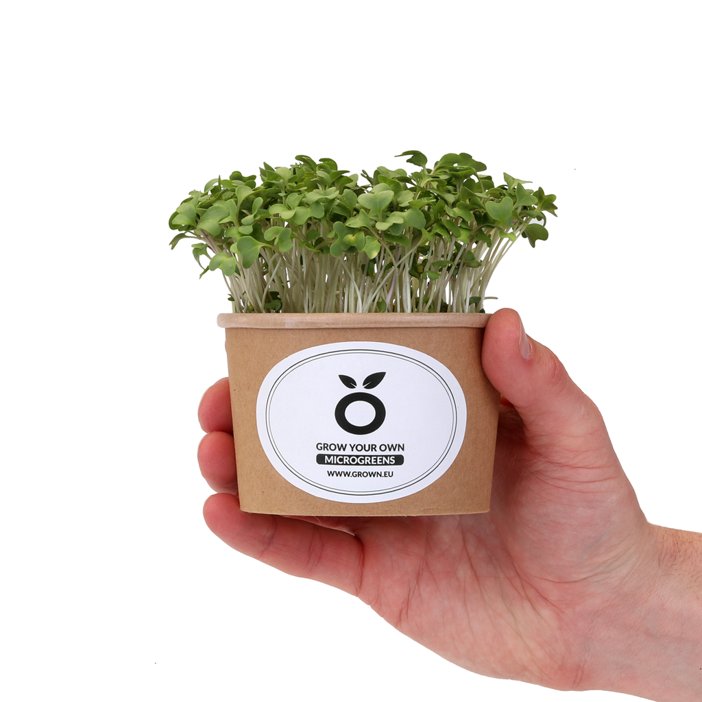 Grow Jar