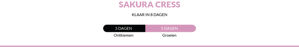 Cress Sakura