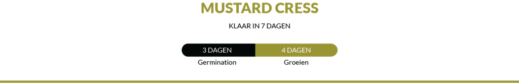 Cress Mustard