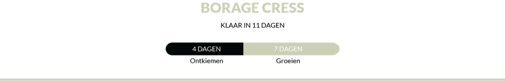 Cress Borage