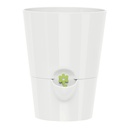 Fresh herb pot