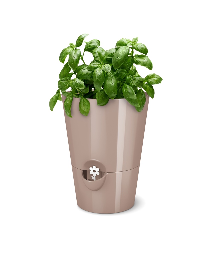 Fresh herb pot