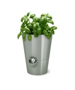 Fresh herb pot