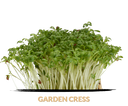 Cress Garden