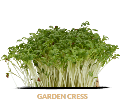 Cress Garden